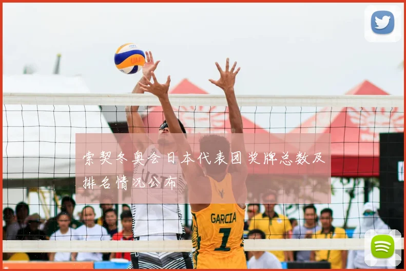 索契冬奥会日本代表团奖牌总数及排名情况公布