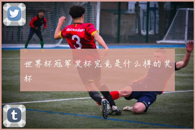 世界杯冠军奖杯究竟是什么样的奖杯